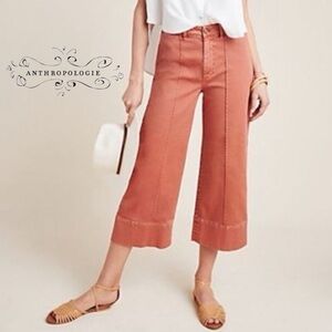 CHINO by Anthropologie Terracotta Wide Leg High Rise Pin-tucked Pants 6P